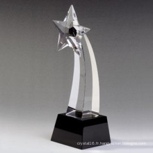 Trophée personnalisé K9 Crystal Star avec base noire (KS04022)